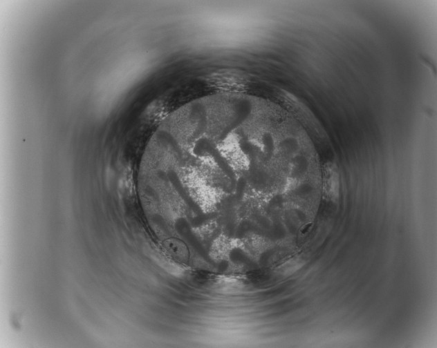 X0000101230573200807071415