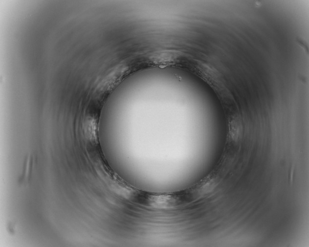 X0000101230575200807071415