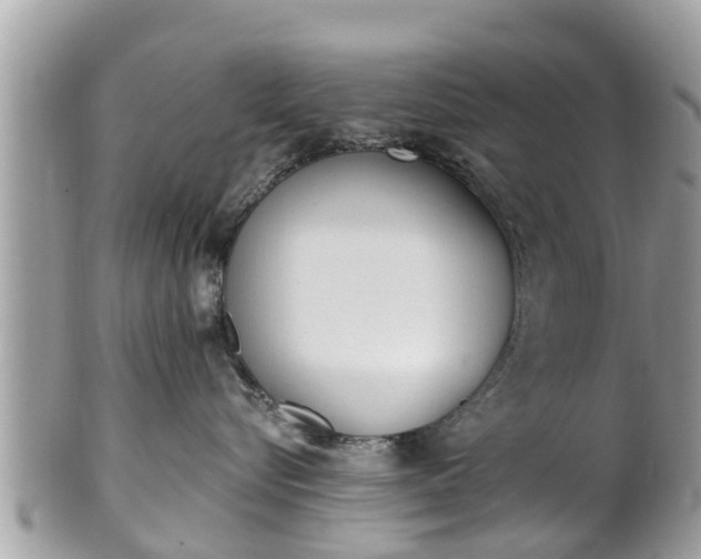 X0000101230576200807071415