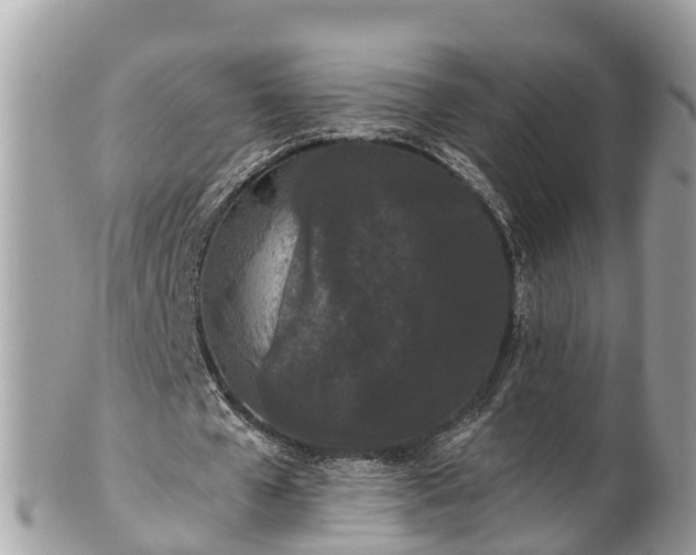 X0000101230577200807071414