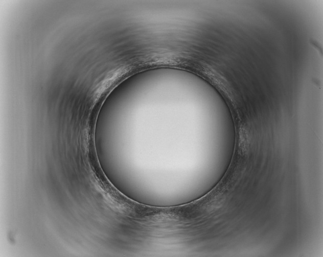 X0000101230578200807071414