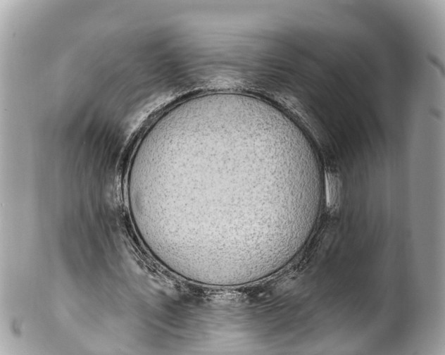 X0000101230579200807071414