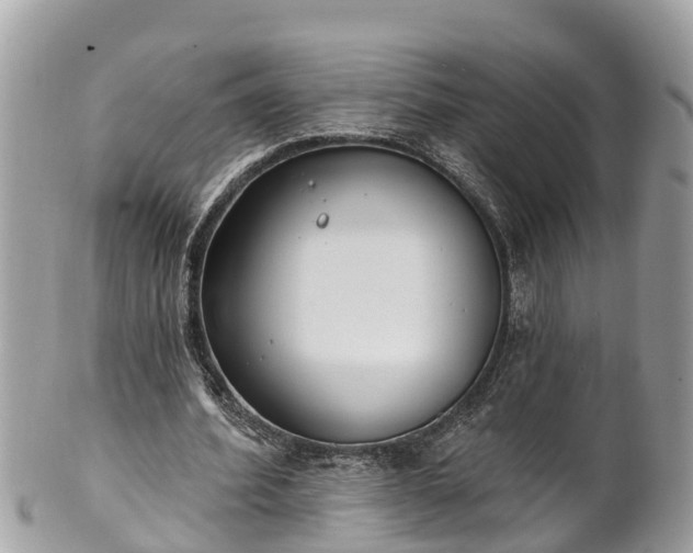 X0000101230580200807071414