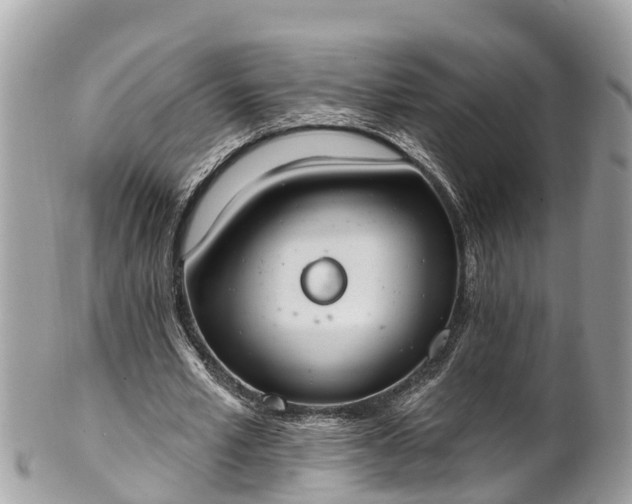 X0000101230581200807071414