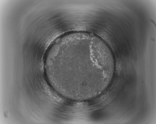 X0000101230584200807071414