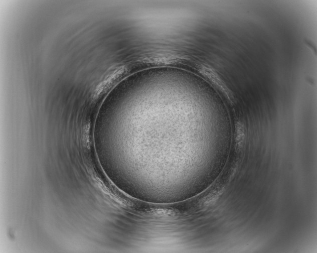 X0000101230585200807071414