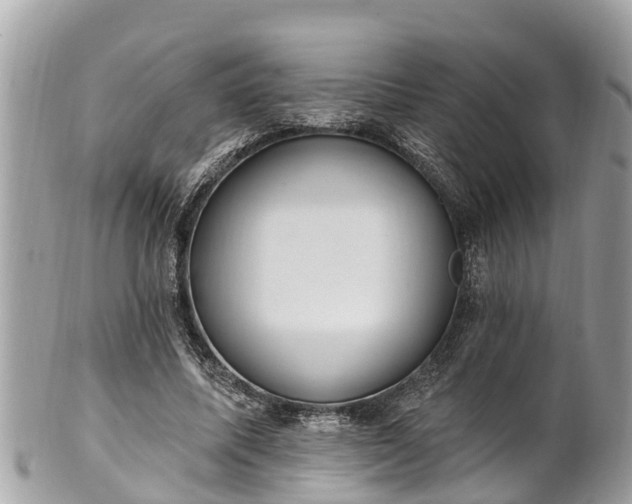 X0000101230587200807071414