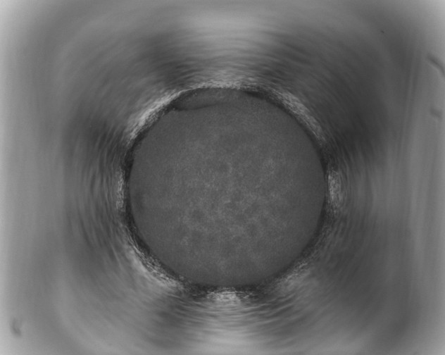 X0000101230588200807071414