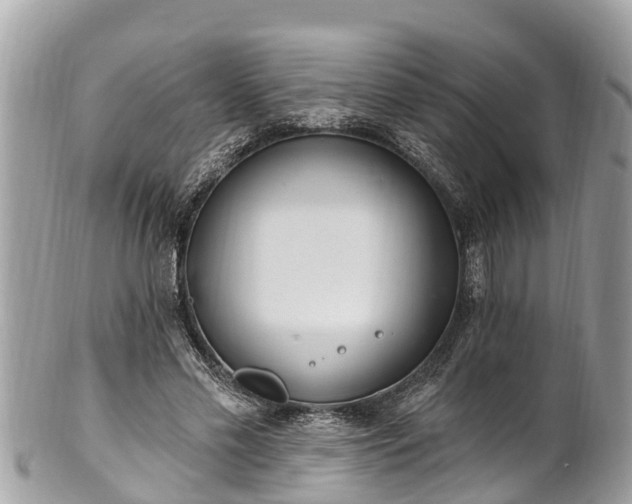 X0000101230589200807071414