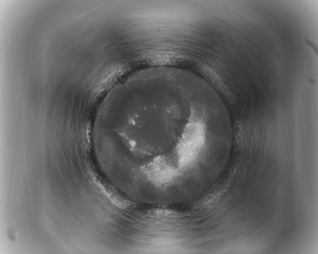 X0000101230590200807071414