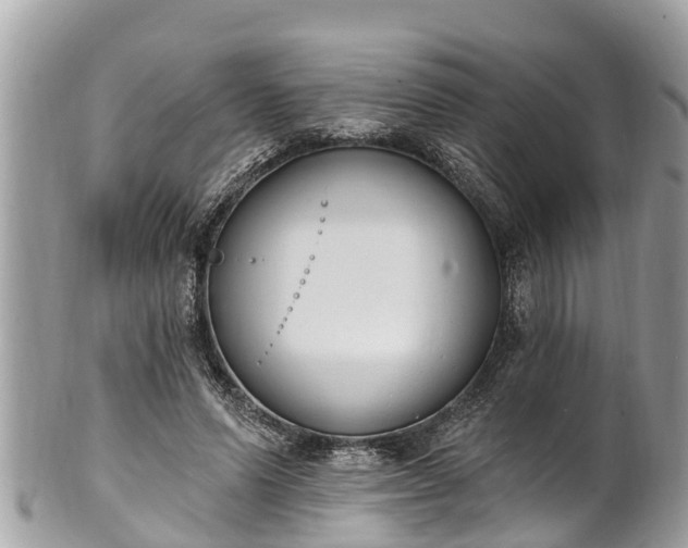 X0000101230591200807071414