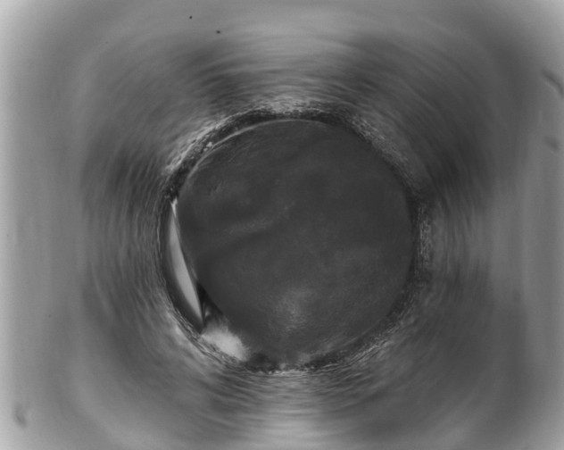 X0000101230592200807071414