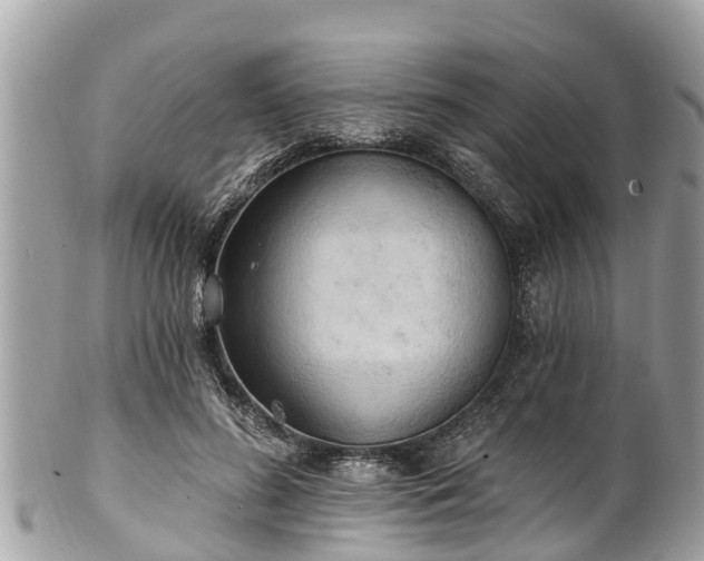 X0000101230596200807071414