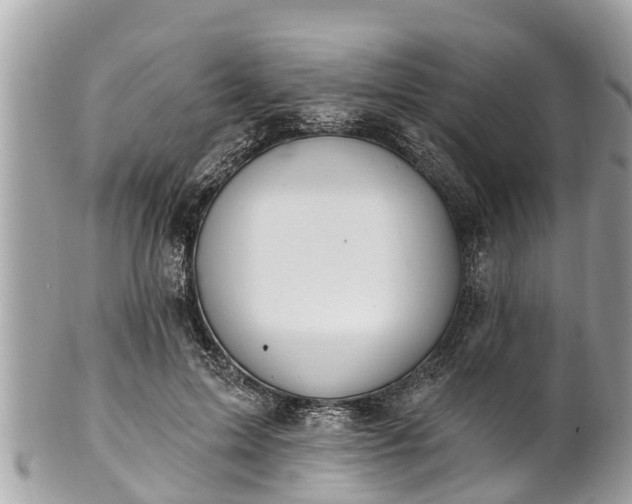 X0000101230599200807071414