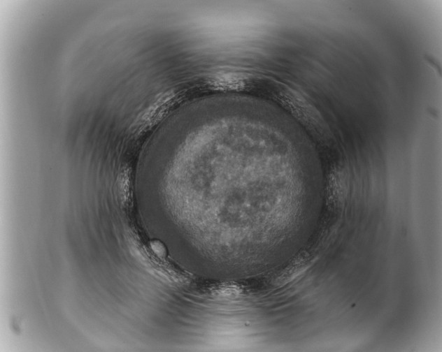 X0000101230600200807071414