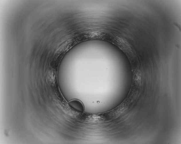 X0000101230607200807071414