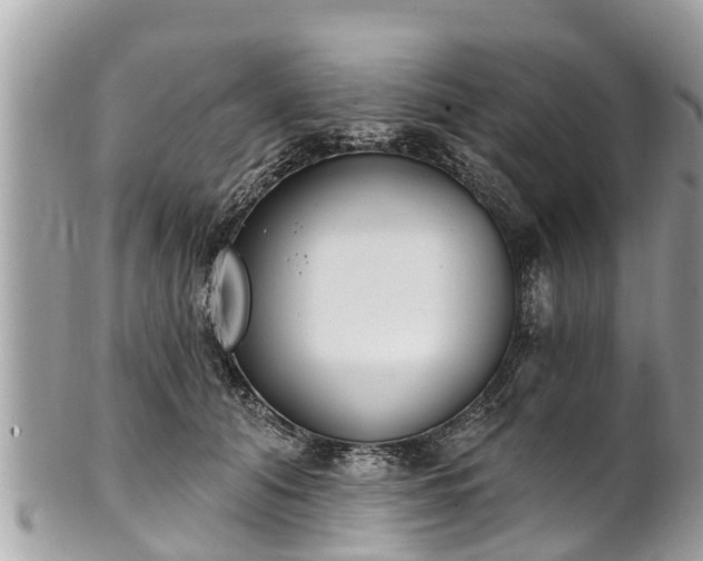 X0000101230608200807071414