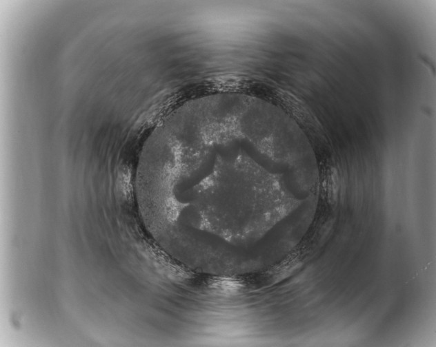 X0000101230610200807071414