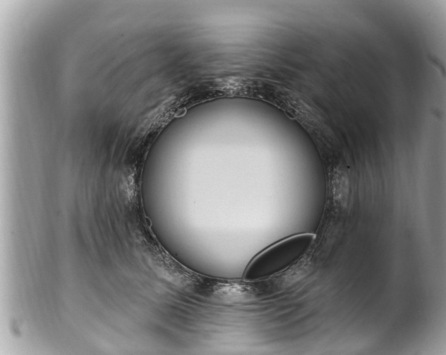 X0000101230611200807071414