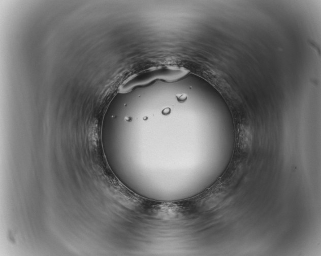 X0000101230612200807071414