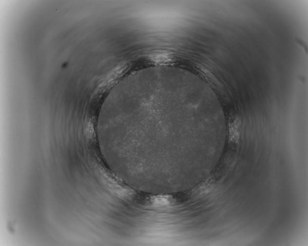 X0000101230618200807071413