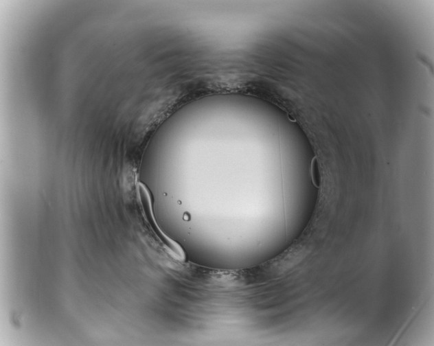 X0000101230624200807071413