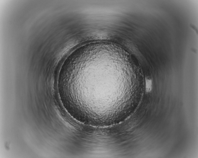 X0000101230627200807071413