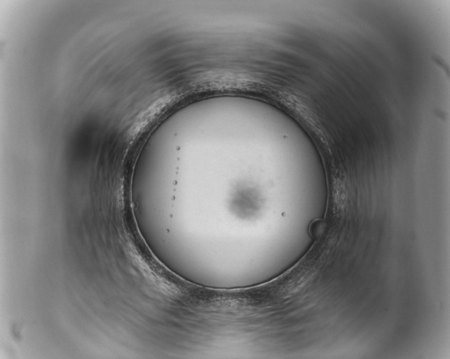 X0000101230629200807071413