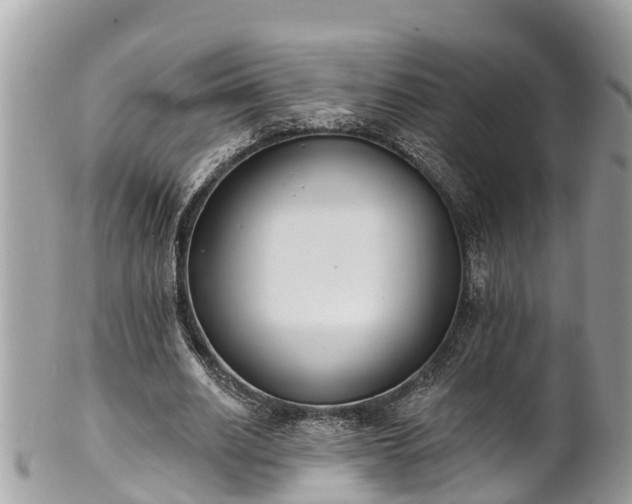 X0000101230630200807071413