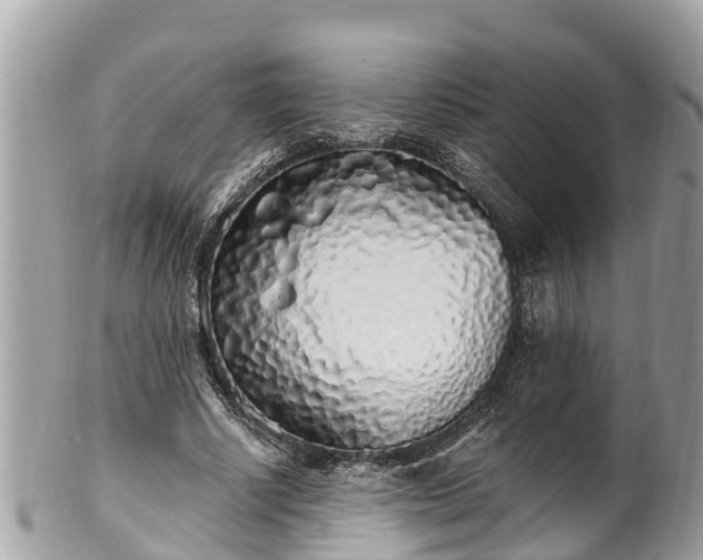 X0000101230634200807071413