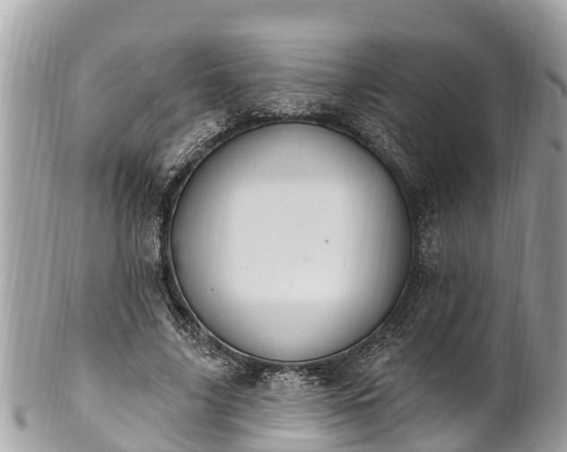 X0000101230635200807071413