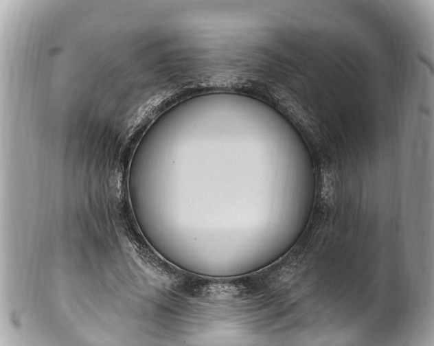 X0000101230636200807071413