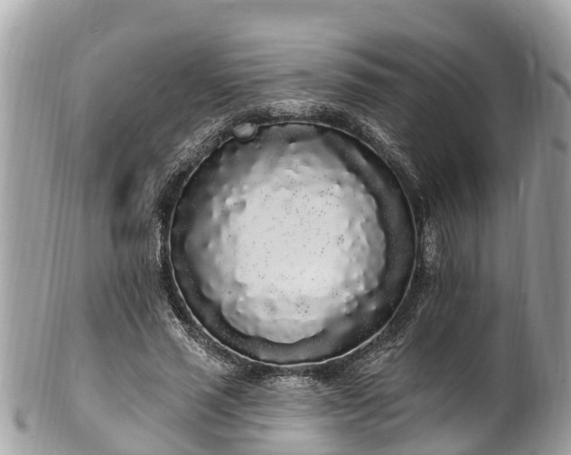 X0000101230637200807071413