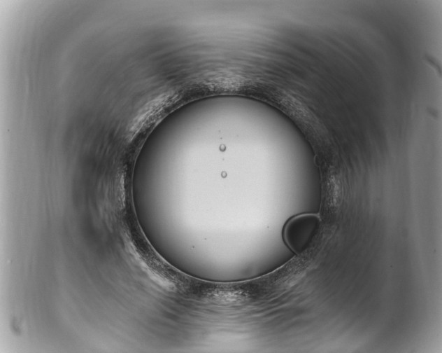 X0000101230638200807071413