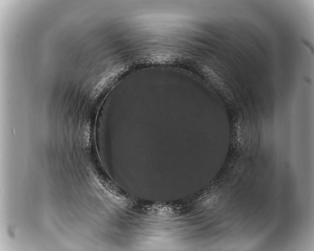 X0000101230640200807071413