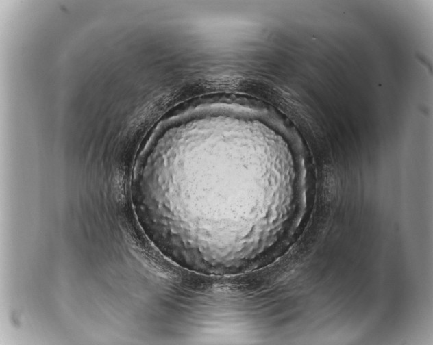 X0000101230641200807071413