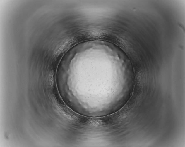 X0000101230642200807071413