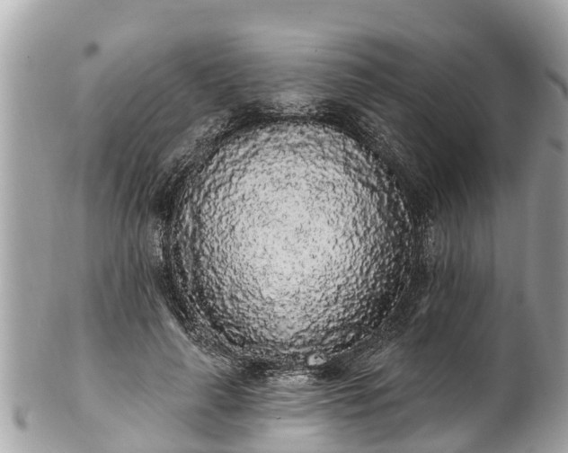 X0000101230643200807071413