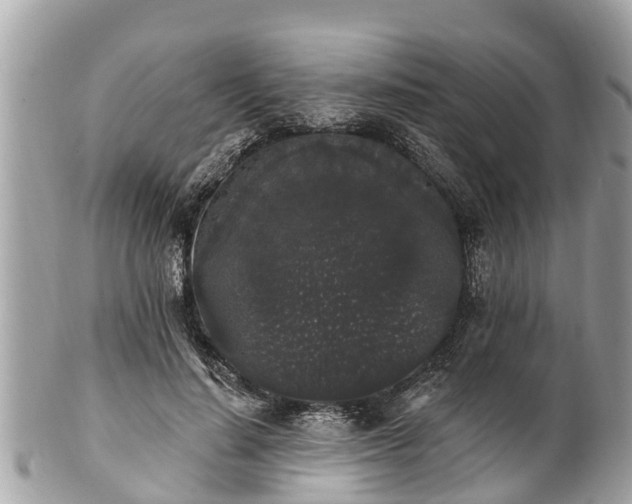 X0000101230644200807071413