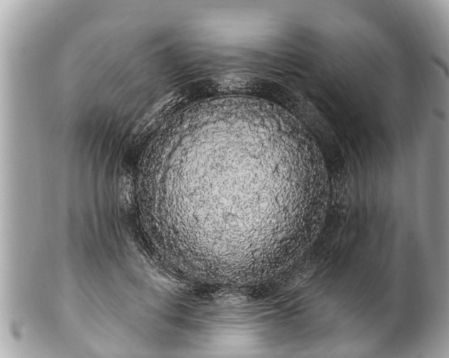 X0000101230648200807071413