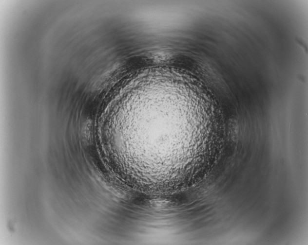 X0000101230650200807071413