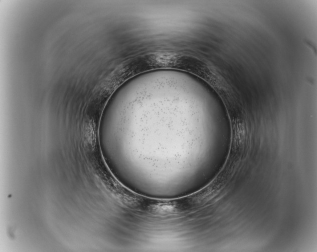 X0000101230651200807071413