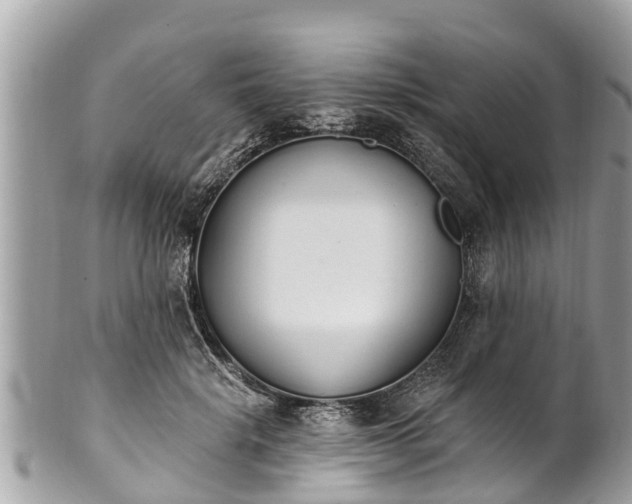 X0000101230652200807071413