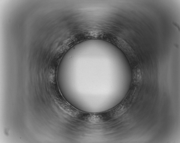 X0000101230656200807071413