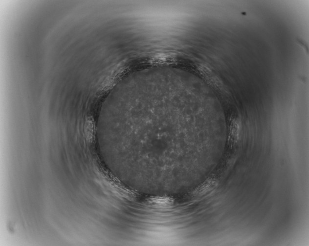 X0000101230659200807071413