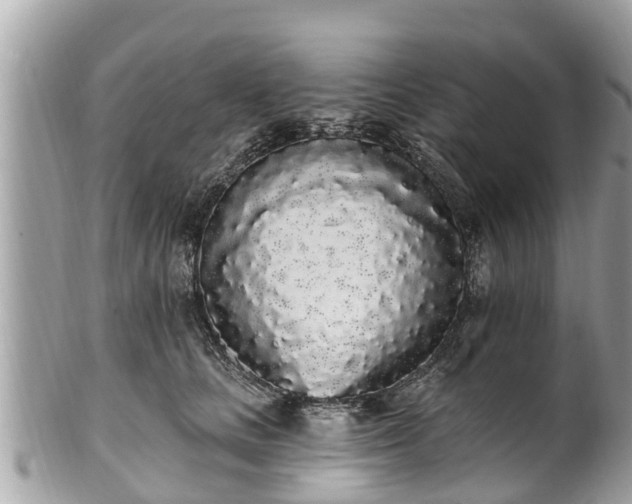 X0000101230661200807071413