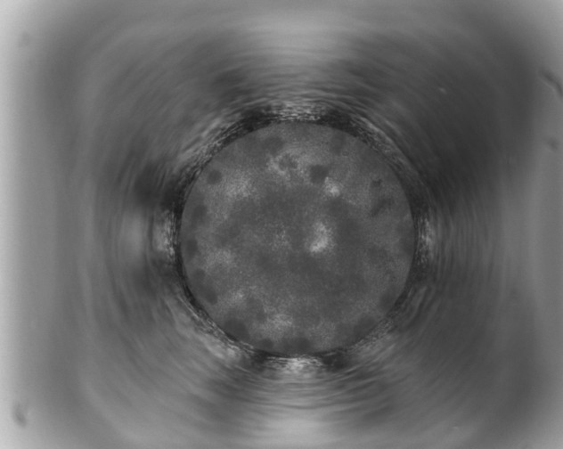 X0000101230663200807071413