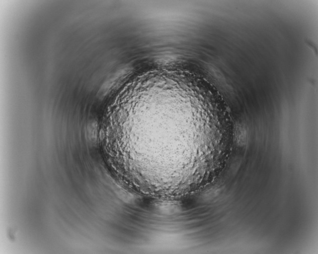 X0000101230670200807071413