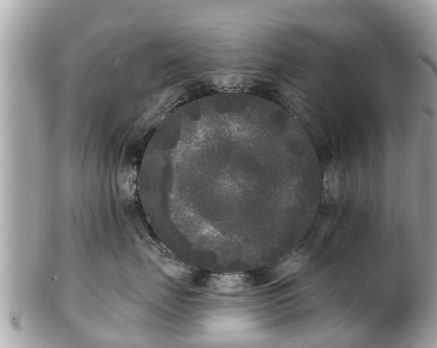 X0000101230671200807071413