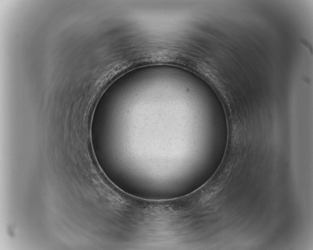 X0000101230673200807071413